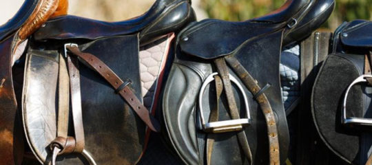 Equipements pour chevaux
