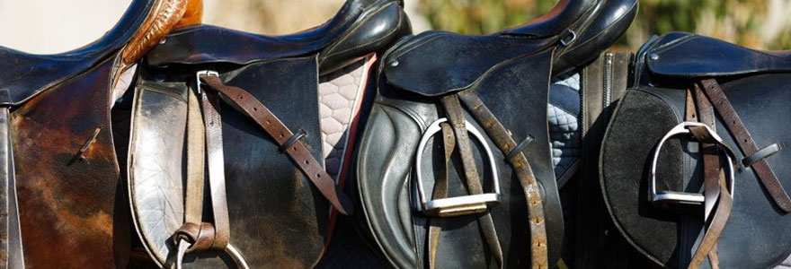 Equipements pour chevaux